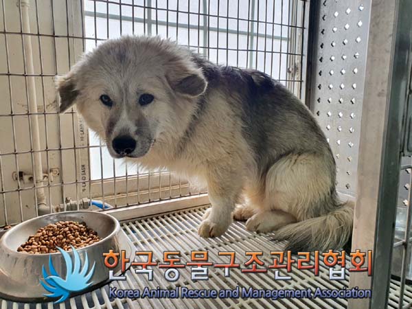 종료(안락사) 믹스…